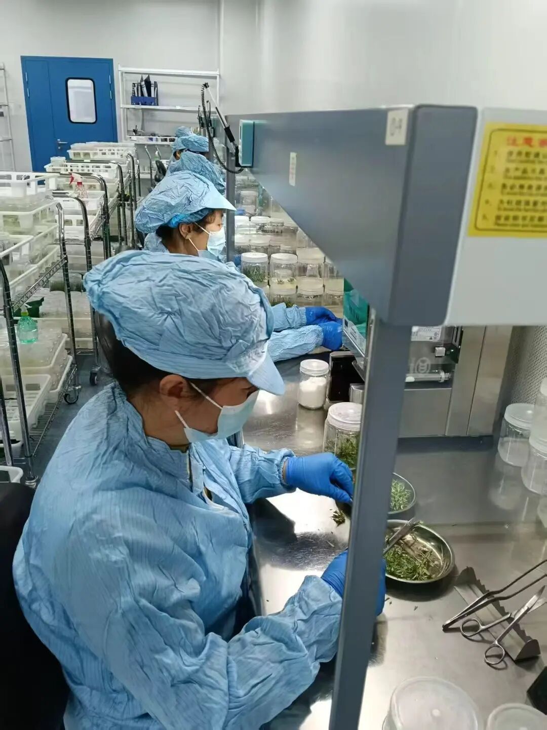 深耕鹽堿地 打造特色產業高質量發展新引擎——黃河三角洲農業高新技術產業示范區推動鹽堿地特色產業發展綜述